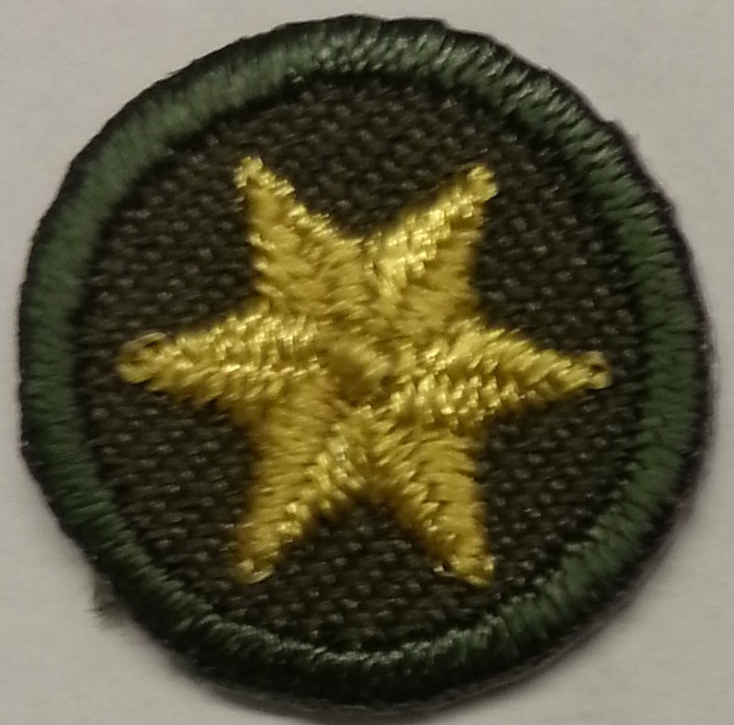 Rover Scoutcraft Star - Gold