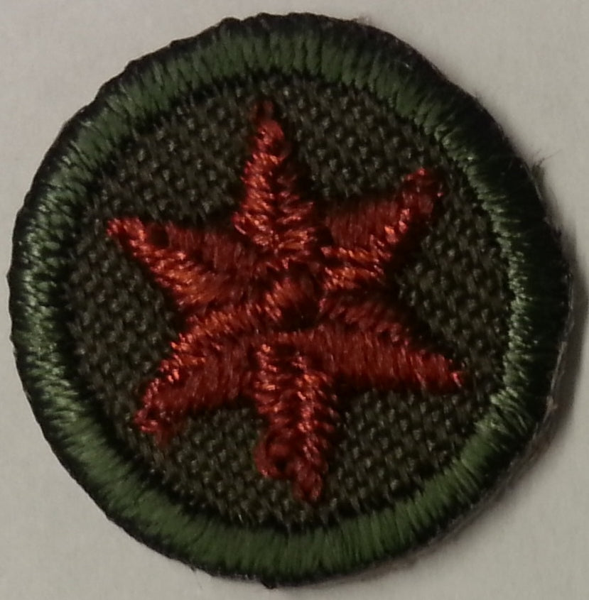 Rover Service Training Star - Copper