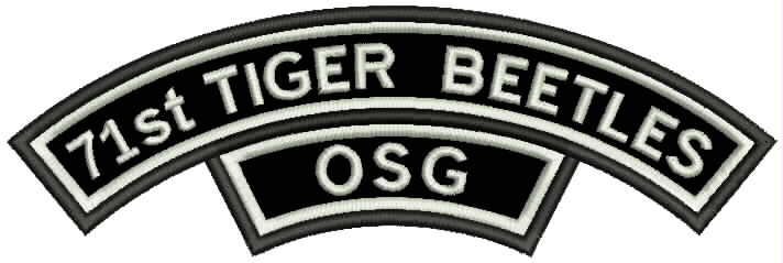 All New OSG Group Flash