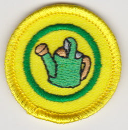 TW Special Proficiency Badges (OSG)