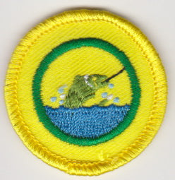 TW Special Proficiency Badges (OSG)