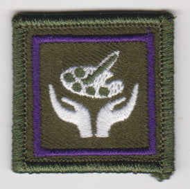 RO Special Proficiency Badges (OSG)