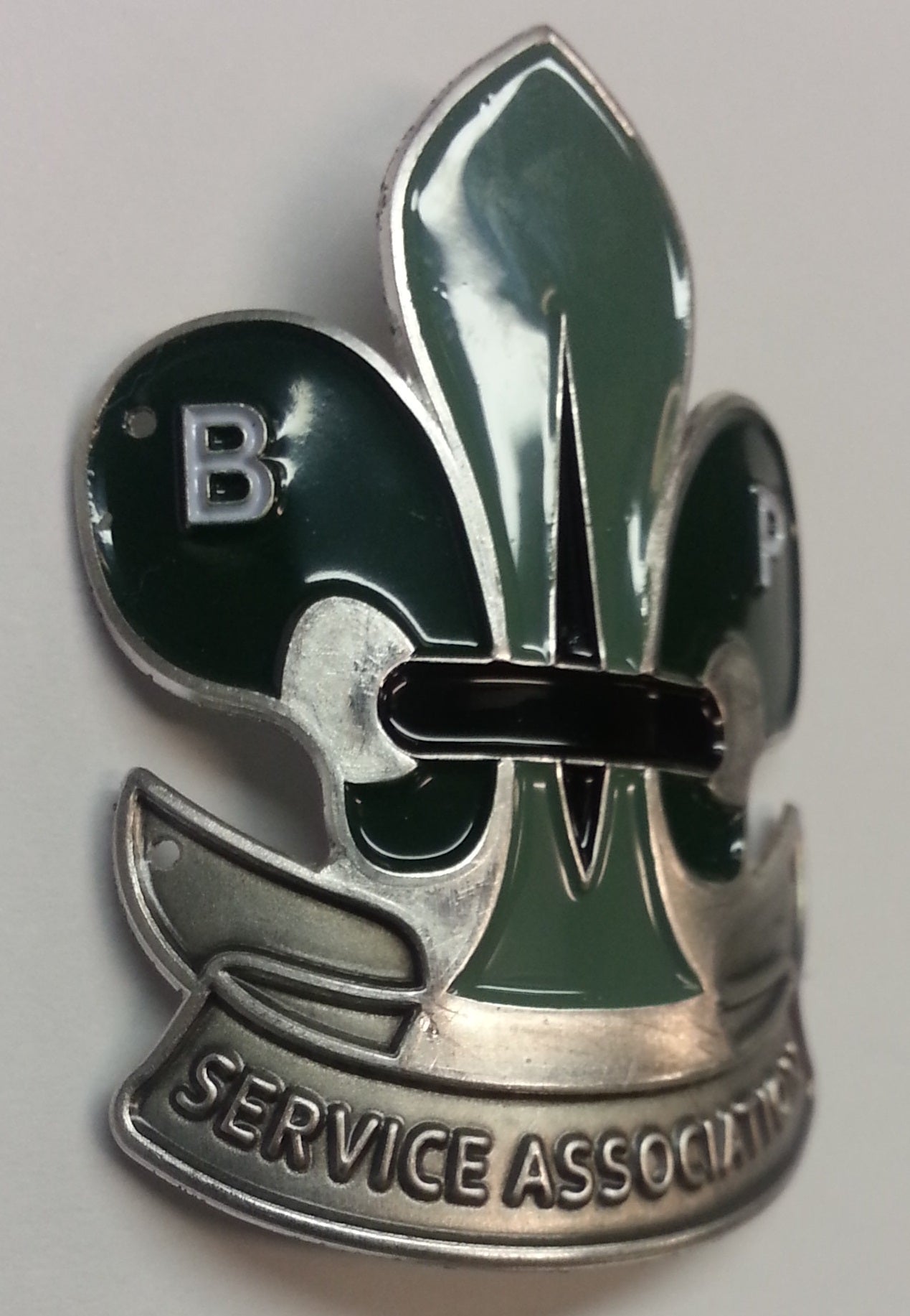 BPSA Hiking Staff Medallion