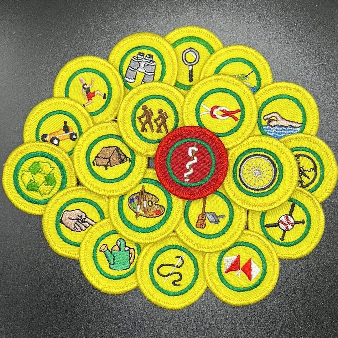 TW Special Proficiency Badges (OSG)