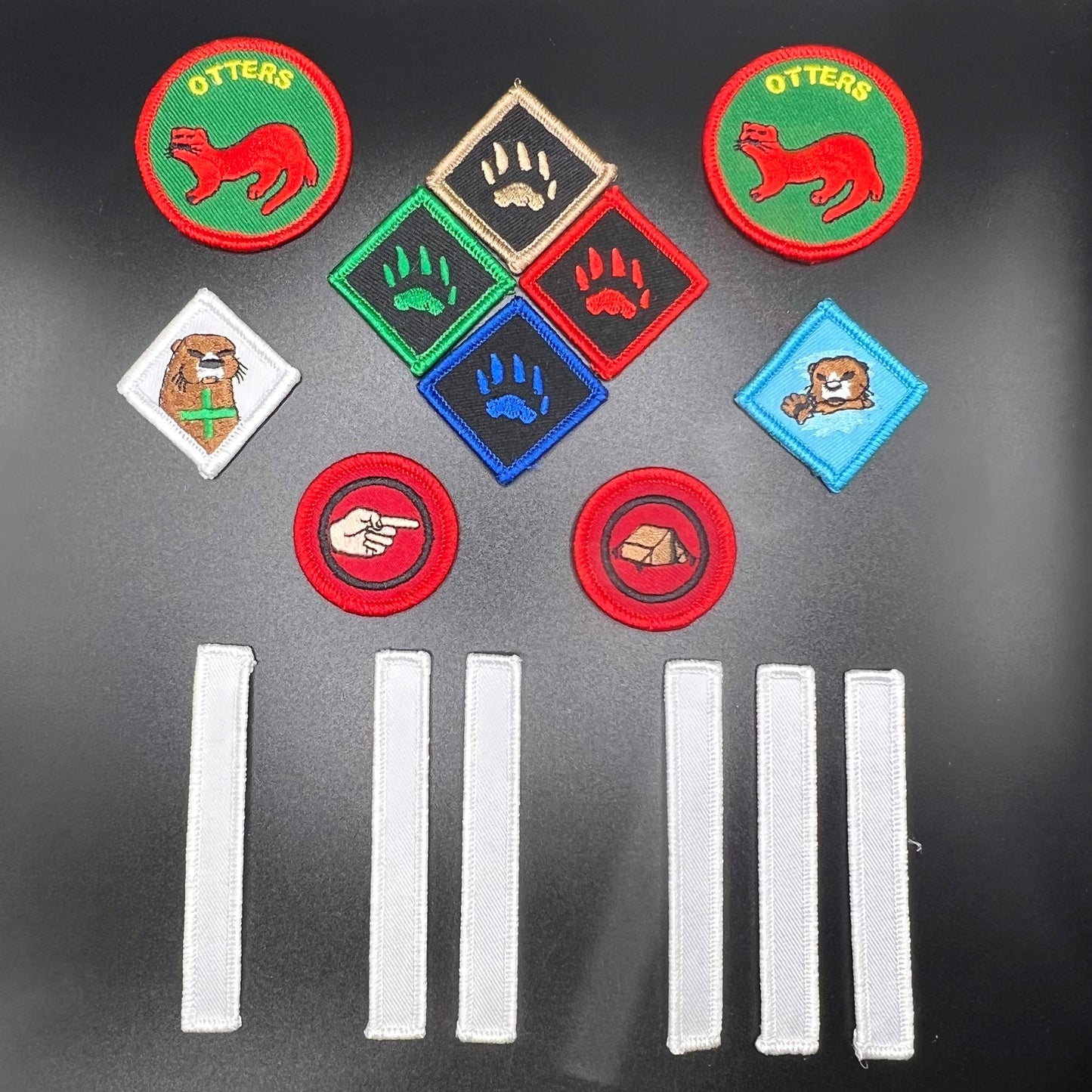 OSG Otter Badges