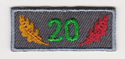 20 Year Award