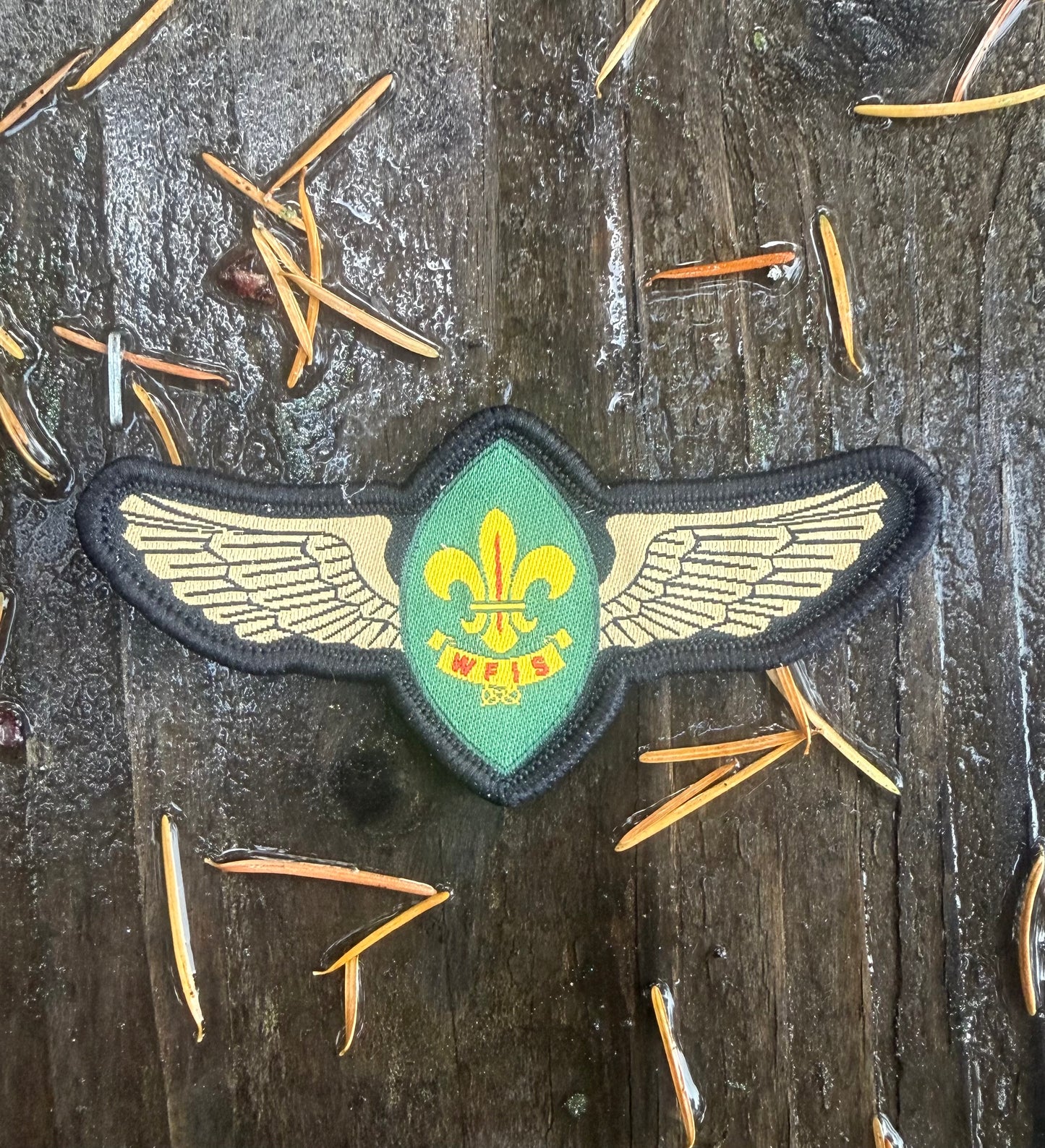 WFIS Air Scout Badge