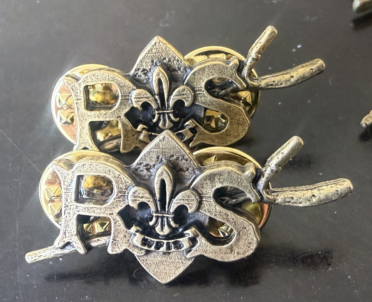 WFIS Rover Pin