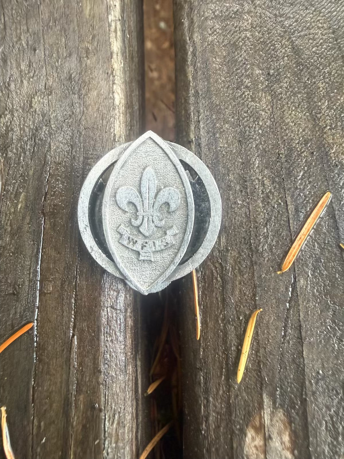 WFIS Plume Badge