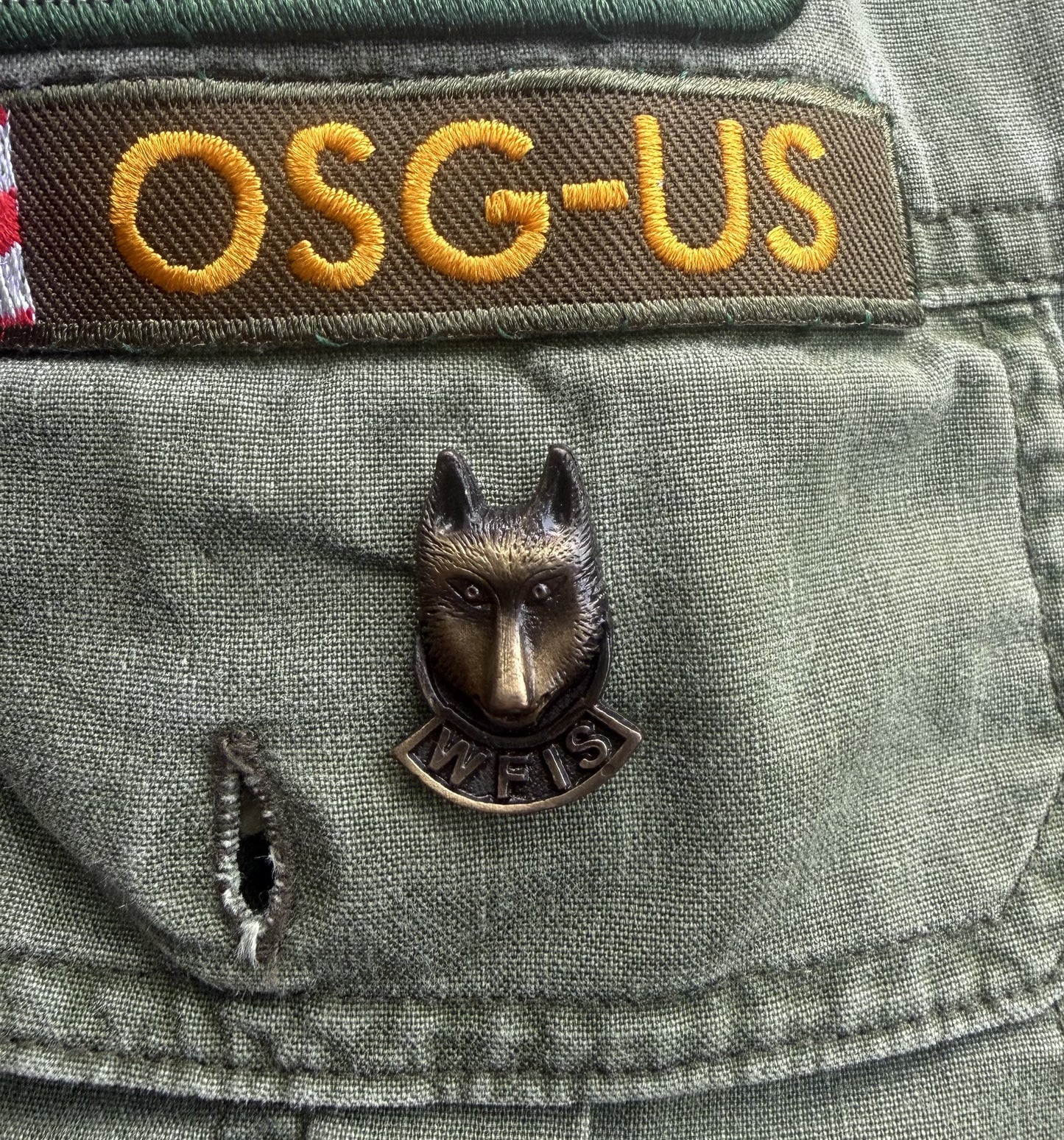 WFIS Wolf Pin