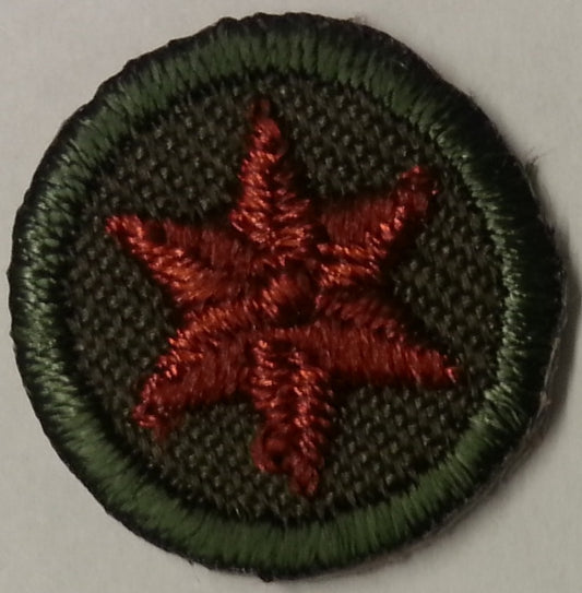Rover Service Training Star - Copper