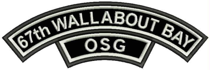 All New OSG Group Flash