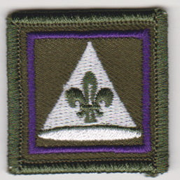 RO Special Proficiency Badges (OSG)